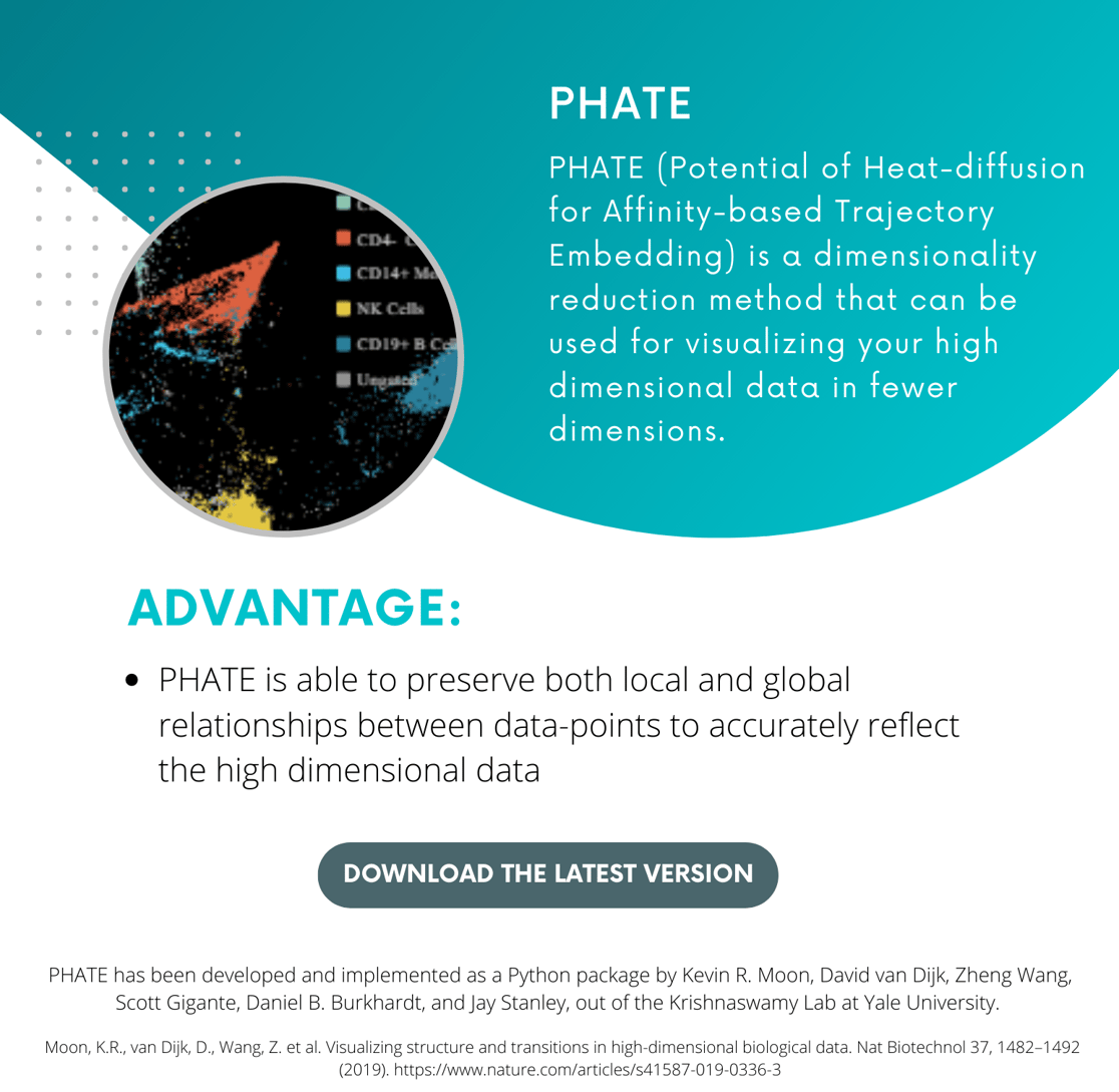 Plugin Flier (2) crop